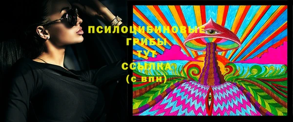 спайс Алексин