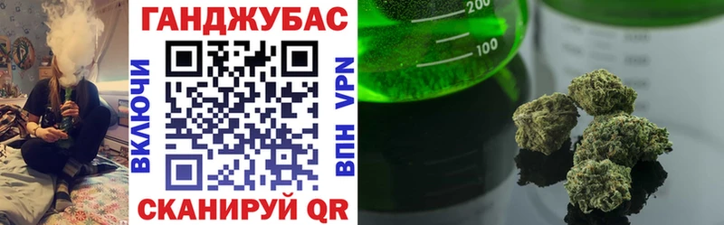как найти наркотики  Злынка  Бошки марихуана SATIVA & INDICA 